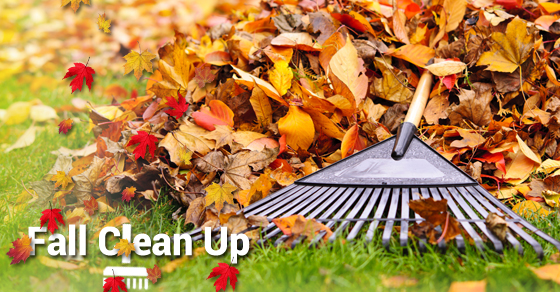 Fall Clean Up Fall Clean Up