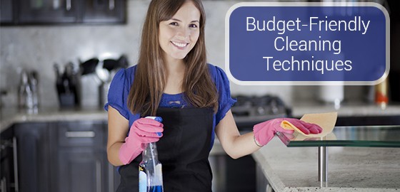 Budget-Friendly Cleaning Techniques
