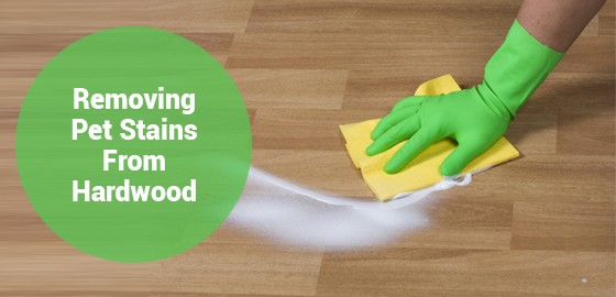 Removing Pet Stains From Hardwood