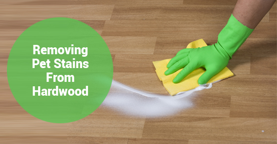 how to get cat urine smell out of hardwood floors