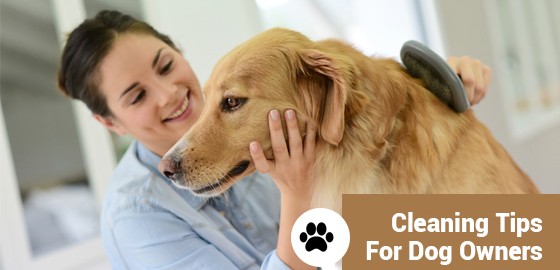 Cleaning Tips For Dog Owners