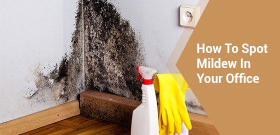 How To Spot Mildew In Your Office