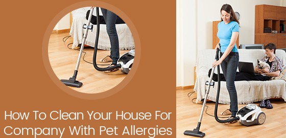 How To Clean Your House For Company With Pet Allergies