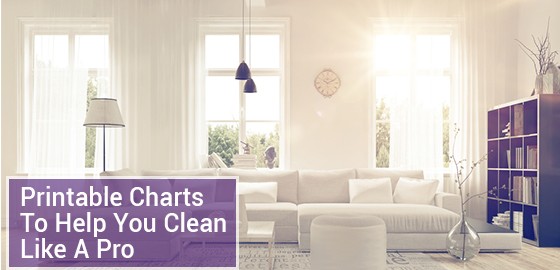 Printable Charts To Help You Clean Like A Pro