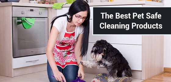 The Best Pet Safe Cleaning Products