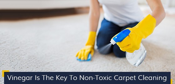 Vinegar Is The Key To Non-Toxic Carpet Cleaning
