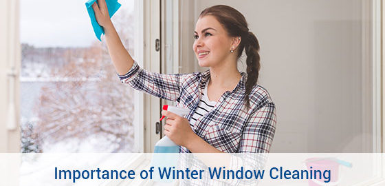 Importance of Winter Window Cleaning