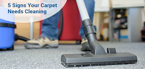 Signs for Carpet Cleaning