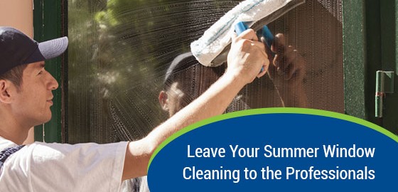 Summer Window Cleaning & Professional Window Cleaning