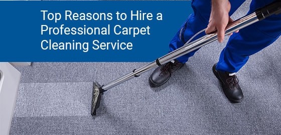 Top Reasons to Hire a Professional Carpet Cleaning Service