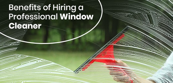 Benefits of Hiring a Professional Window Cleaner