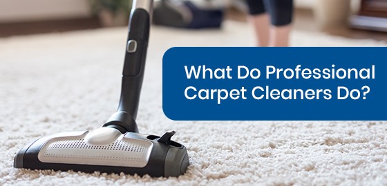 What Do Professional Carpet Cleaners Do?