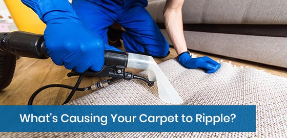 What’s Causing Your Carpet to Ripple