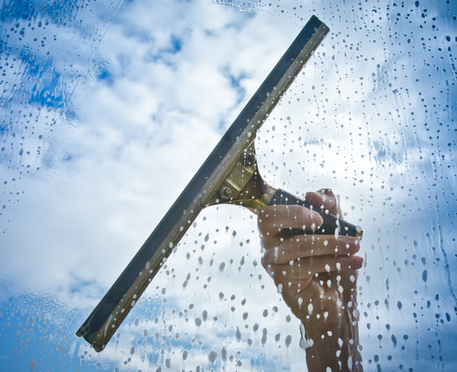 Professional Window Cleaning Services