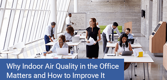 Why indoor air quality in the office matters and how to improve it