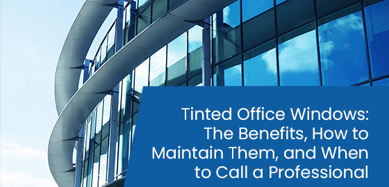 Tinted office windows: The benefits, how to maintain them, and when to call a professional