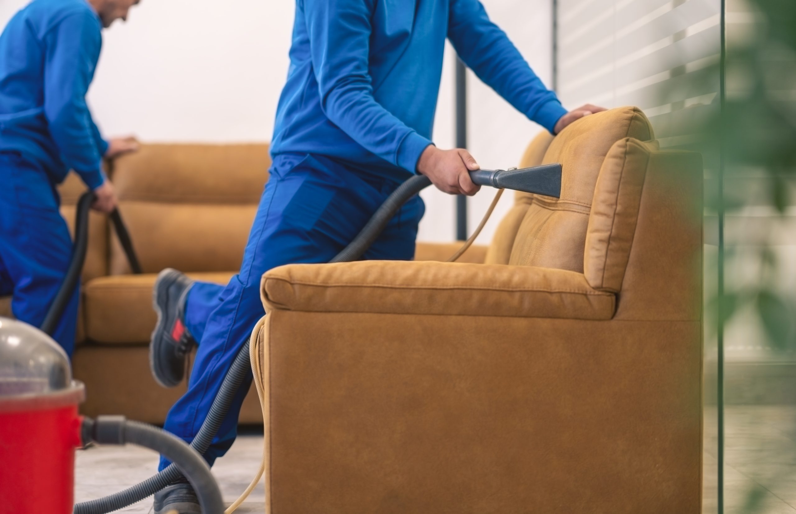 Upholstery cleaning in Toronto